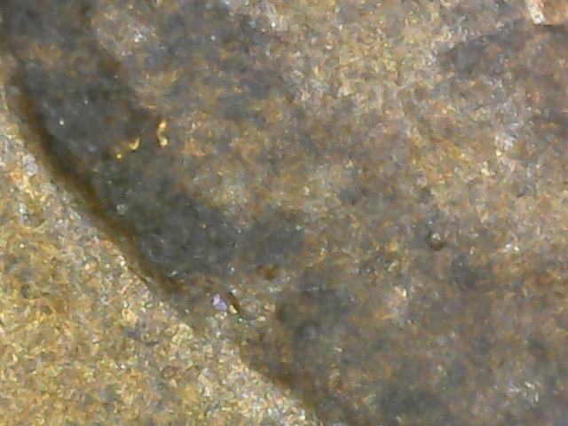 หลวงพ่อกลั่น เสี้ยนตอง 11