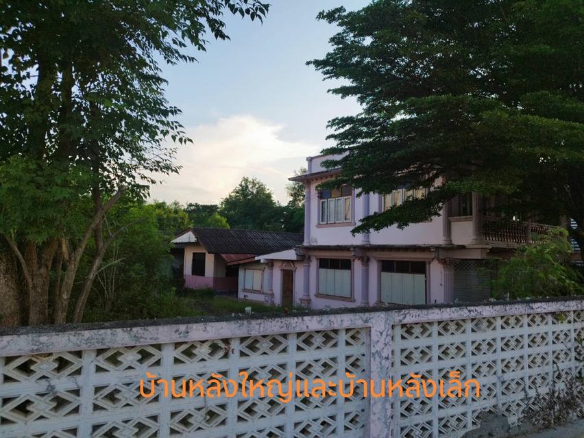 ขายบ้านพร้อมที่ดินทำเลดีติดถนนใหญ๋เขตชุมชนใน อ.เมือง จ.ลำพูน 3