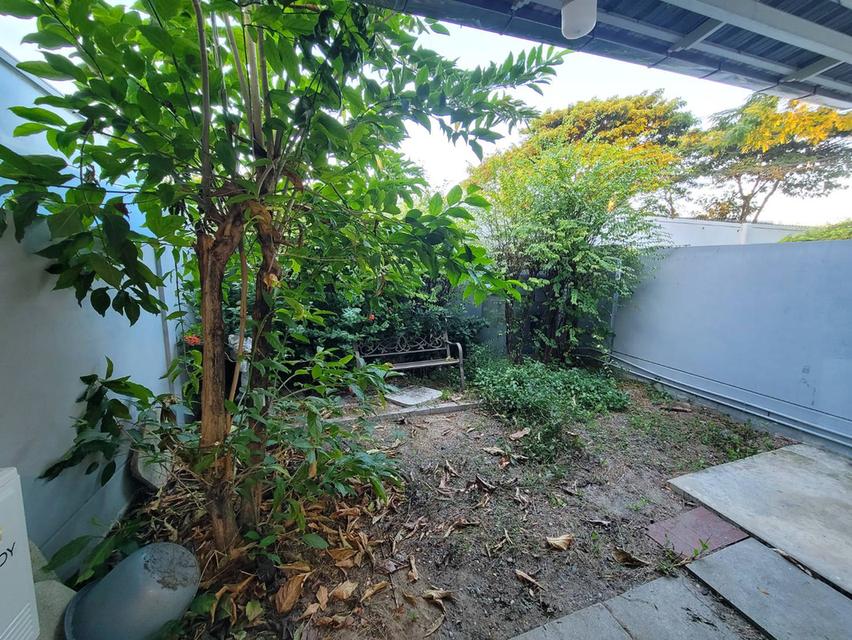 ให้เช่าบ้านทาวน์โฮม 2ชั้น โครงการ อินดี้ บางนา–รามคำแหง 2 ใกล้เมกาบางนา 13