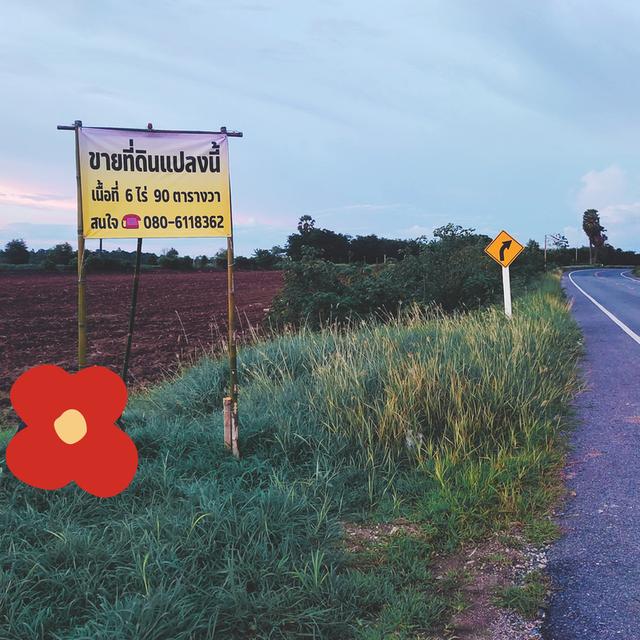 ที่ดินลพบุรีติดถนน ห่างถนนพหลโยธินเพียง 500 เมตร 5