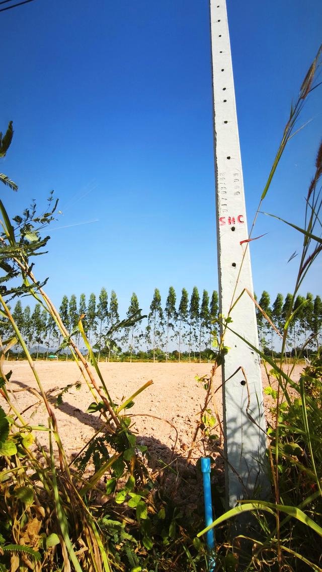 ขายที่ดิน เมืองนครนายก แปลงสวย วิวเขา ติดถนนคอนกรีต น้ำ-ไฟพร้อม มี 2ขนาด 100ตร.วา กับ 1ไร่ นครนายก 4