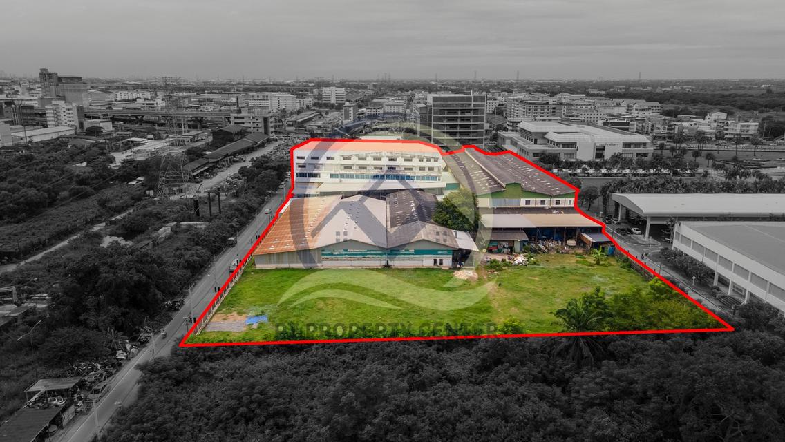 ขาย ที่ดินพร้อมโรงงาน เนื้อที่ 10-3-40 ไร่ (4,340 ตร.ว.) ซอยคลองหลวง 8 ปทุมธานี 5