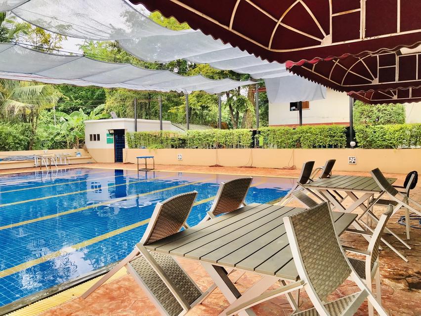 ขายด่วน บ้านลดาวัลย์ ปิ่นเกล้า บรมราชชนนี 185 ตรว บ้านสวย สงบ อากาศดี พื้นที่เยอะ 8