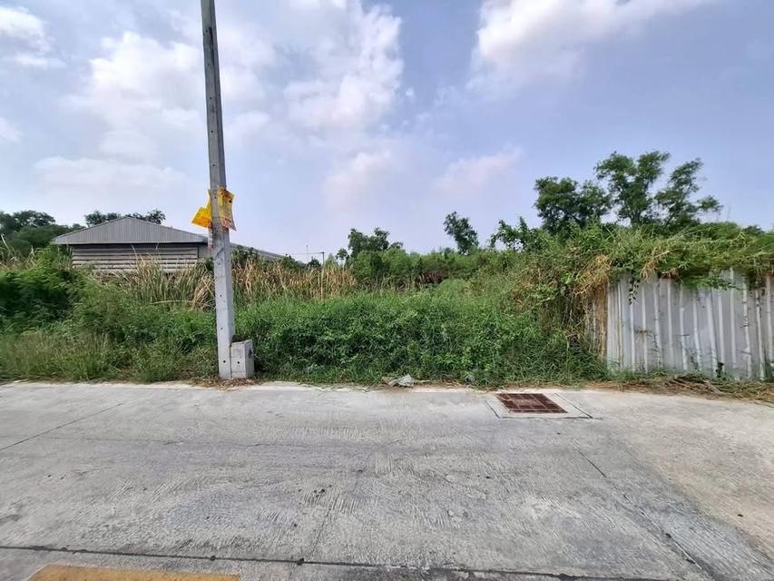 ขายที่ดินคลองสอง 1 ไร่) (ทำเลดี มีอนาคต จ.ปทุมธานี 4