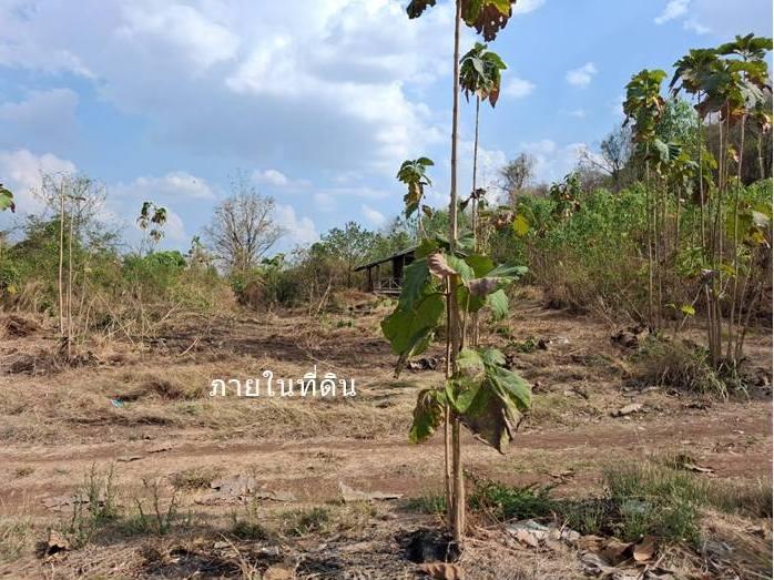 ขายที่ดิน 4-3-86ไร่ ต.กันจุ อ.บึงสามพัน ขายต่ำกว่าประเมิน50กว่าเปอร์เซ็นต์ 12