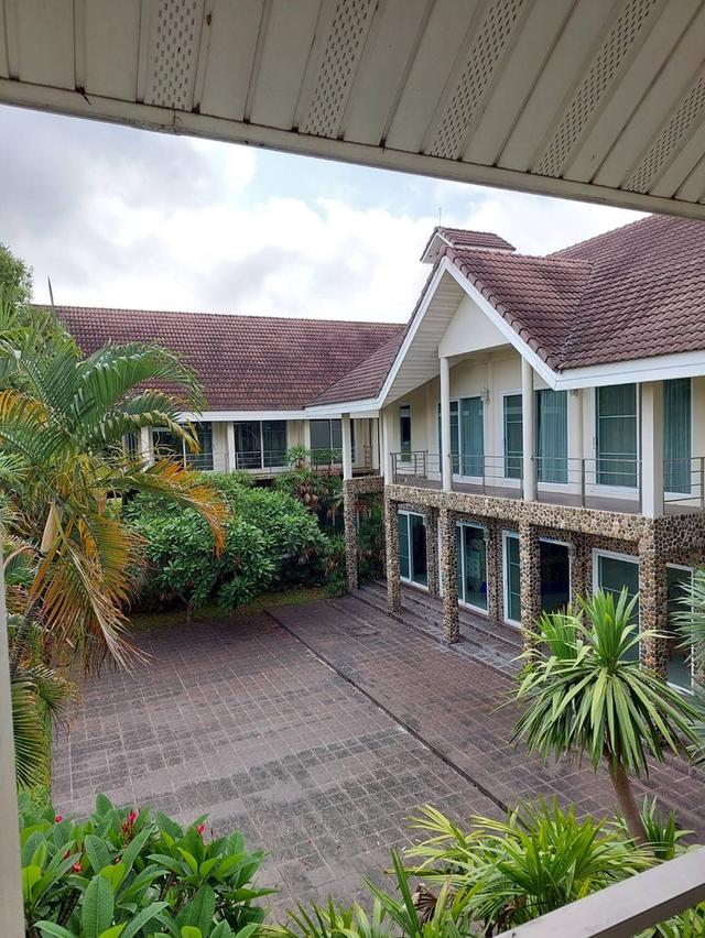 ขาย/ให้เช่าที่ดินเชียงราย 7