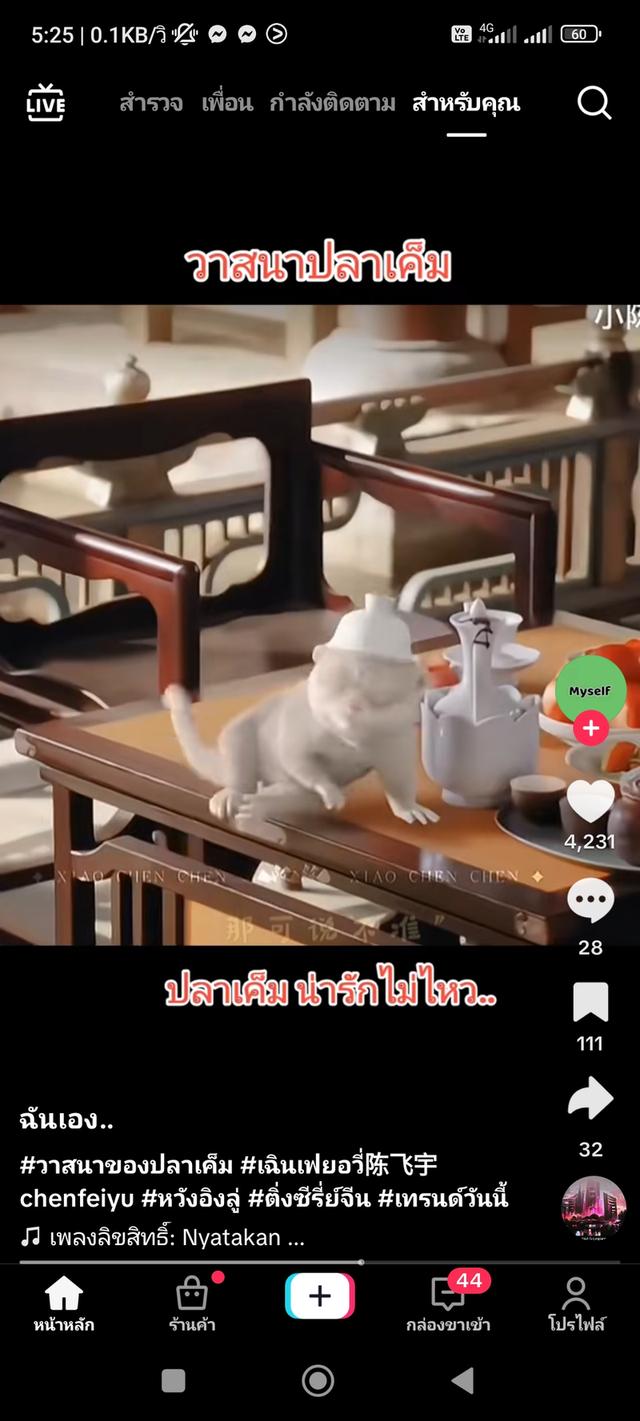 บ้าน 2 หลังบนที่ดิน 1 ไร่ 9