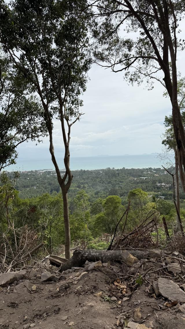 Prime Sunset & Sea View Land for Sale in Koh Samui – A Rare Investment Opportunity! 17