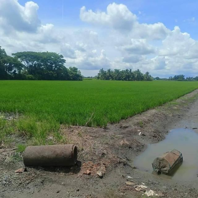ขายที่ดินบางกะไห แปดริ้ว 6 ไร่ ติดคลองติดถนนคอนกรีตหลังวัดแพรกนกเอี้ยง ใกล้ถ.ฉช.2004 -900เมตร เมืองฉะเชิงเทรา 3