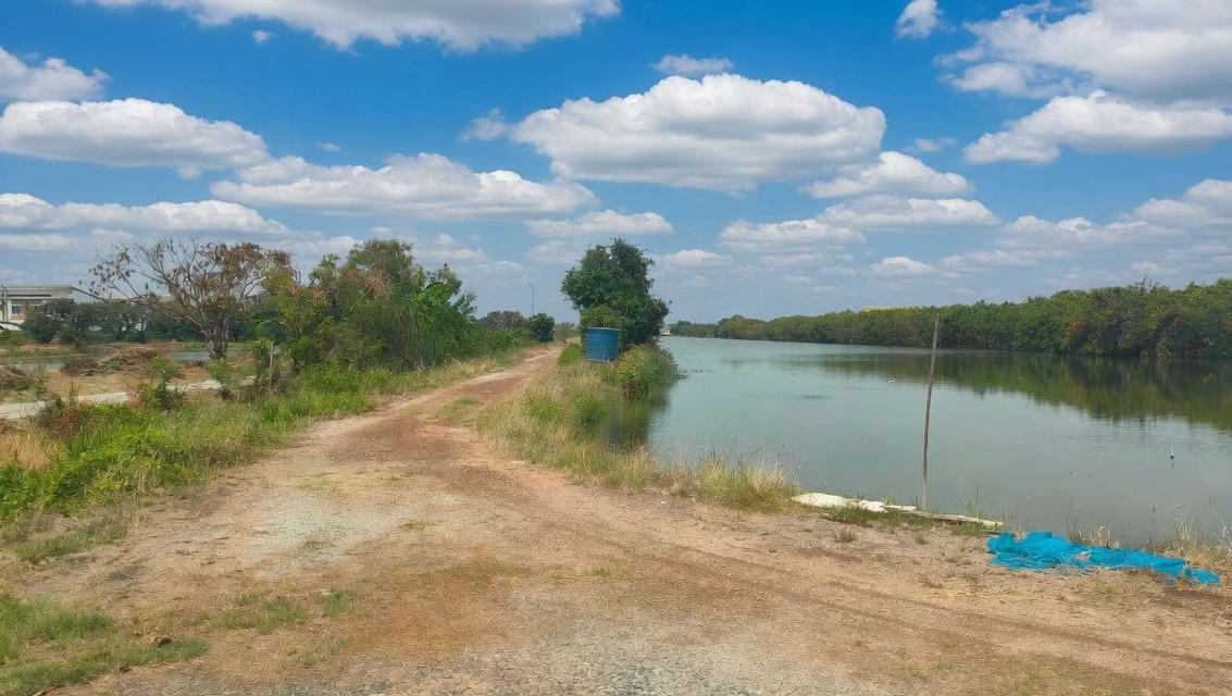 ที่ดินทำเลทอง ใกล้สนามบินสุวรรณภูมิเพียง 15 นาที ติดถนนวัดศรี จ.สมุทรปราการ 3
