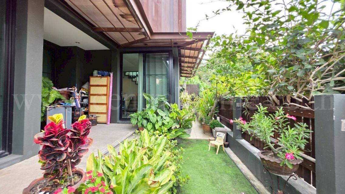 บ้านเดี่ยว บ้านปลาทอง ศรีนครินทร์ ใกล้ MRT สถานีศรีด่าน