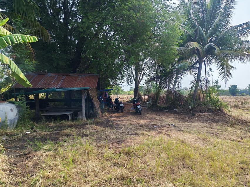 ขายด่วนที่ดิน ขายด่วน ที่ดินสวยแปลงใหญ่ 2แปลงติดกัน ไร่ละ 86,000 บาท จำนวน46-3-31 ไร่ และ 17-0-25 ไร่ เจ้าของคนเดียวกัน เป็นที่ไร่ผสมนา ติดทางสาธารณะท 11