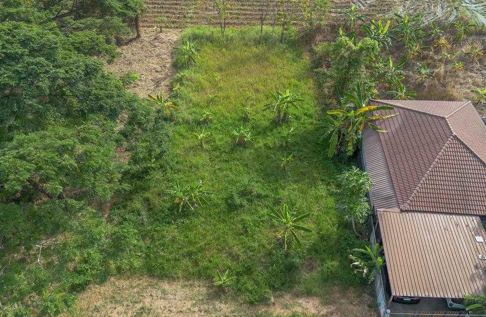 ที่ดินถมแล้ว พร้อมสร้าง วิวทุ่งนา บรรยากาศสงบ โซนหางดง ใกล้สนามบิน เดินทางสะดวก 3