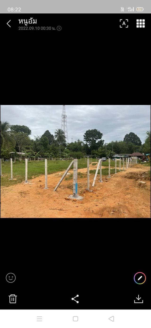 ขายที่ดิน 3 แปลงติดกัน เนื้อที่ 8 ห้อง ที่อยู่ ต.กำแพงเพชร อ.รัตภูมิ จ.สงขลา ราคา ยกแปลง 1.3 ล้านบาท 10