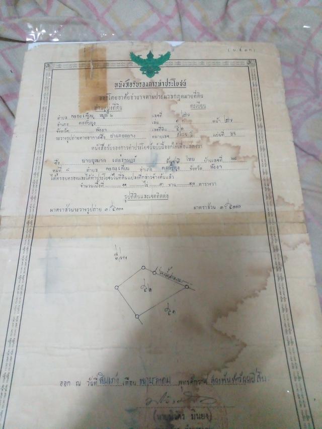 ที่ดิน บ้านคลองน้ำใส ต.คลองเคียน อ.ตะกั่วทุ่ง จ.พังงา 1