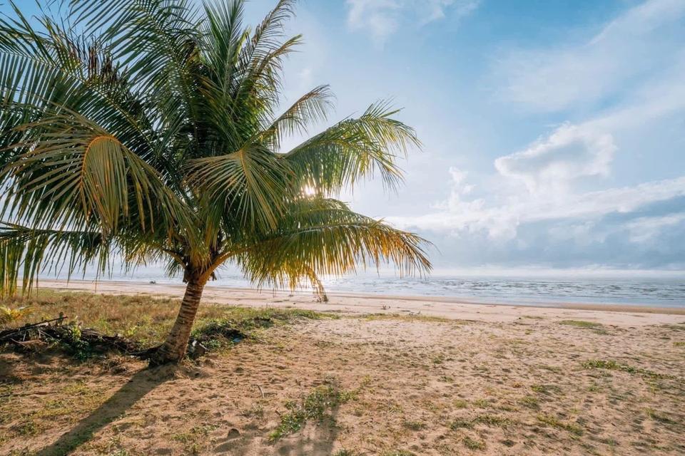 ขายหรือให้เช่า pool villa ติดทะเล บนที่ดินเนื้อที่ 2 ไร่ 20 ตรว. ชายทะเล ต.บ่อนอก กุยบุรี จ.ประจวบคีรีขันธ์ 12