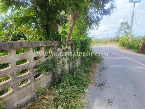 ที่ดินติดถนนพร้อมสิ่งปลูกสร้าง ต.นาวังหิน อ.พนัสนิคม จ.ชลบุรี 19