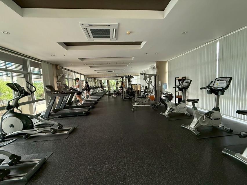 ขาย ทำเลดี 20