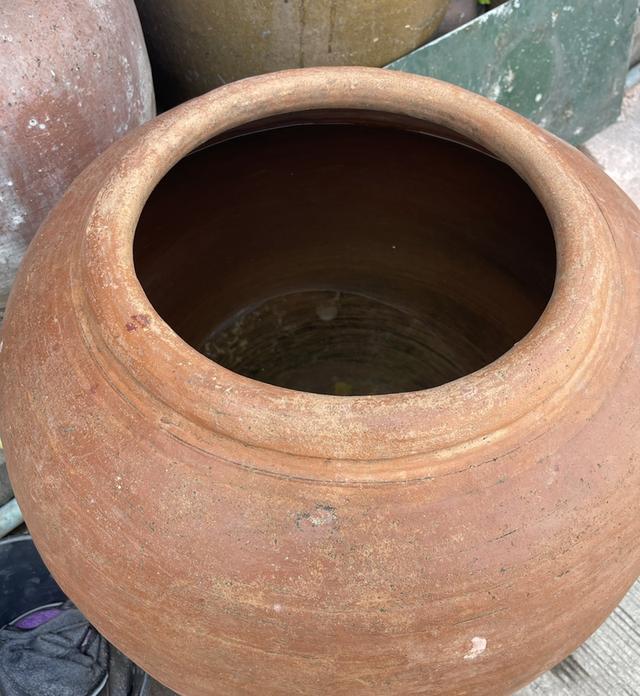 โอ่งแดง ศิลปะอยุธยา ใบใหญ่จัมโบ้ ขนาดสูง65ซม โอ่งดินเผาโบราณ อายุหลัก100ปี รูปที่ 2