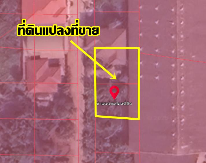 ขายที่ดิน ซอยสุสวาส 2 คลอง7 ใกล้โลตัสรังสิตคลอง7 ธัญบุรี ปทุมธานี 6