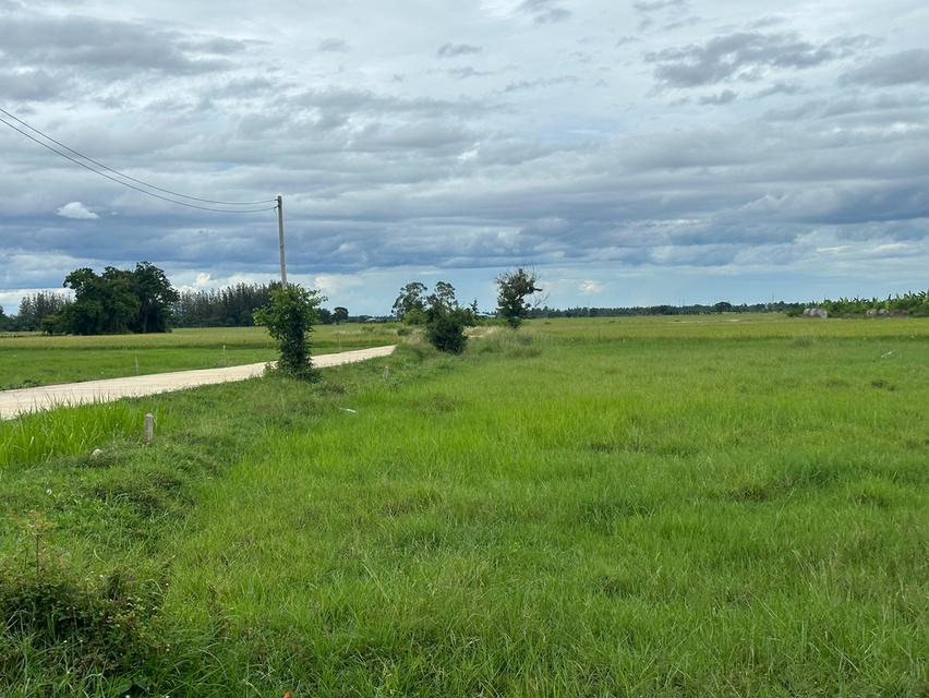 ที่ดิน ท่ายาง จ.เพชรบุรี 17