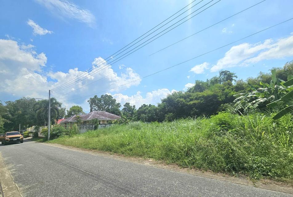 ขายที่ดินบางเสร่ 263 ตรว. ติดถนนลาดยางมีวิวเขา ใกล้ถนนเส้นสุขุมวิท3เพียง300เมตร อ.สัตหีบ ชลบุรี 1