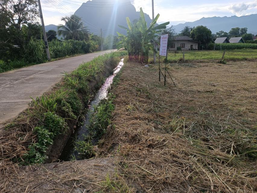 ที่ดินวิวดอยหลวง อ.เชียงดาว จ.เชียงใหม่ 5