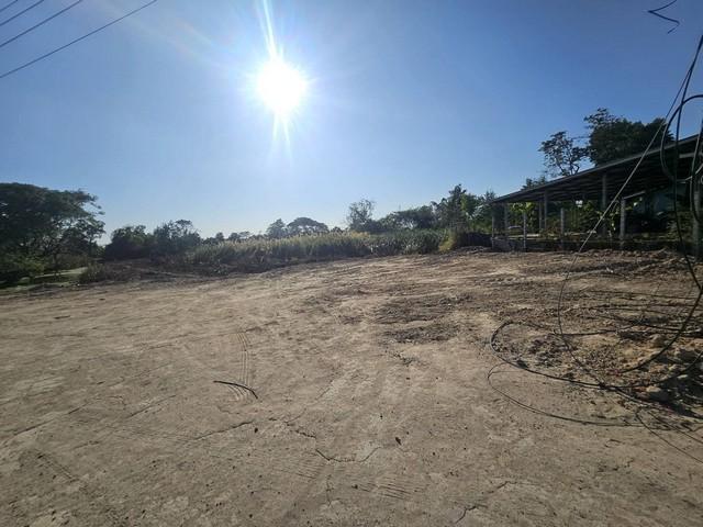 ขายที่ดินผังม่วงใกลินิคมอมตะชลบุรี ต.บางนาง พานทอง–ชลบุรี ทำเลทองเพื่อธุรกิจอุตสาหกรรม เนื้อที่ 7-0-27 ไร่ 2