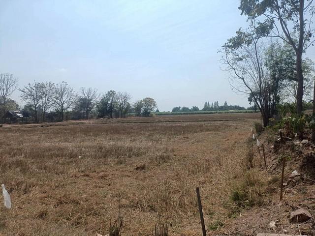 ที่ดินขนาด 6 ไร่ 3 งาน 84 ตารางวา ตำบลทุ่งหลวง อำเภอปากท่อ จังหวัดราชบุรี 1