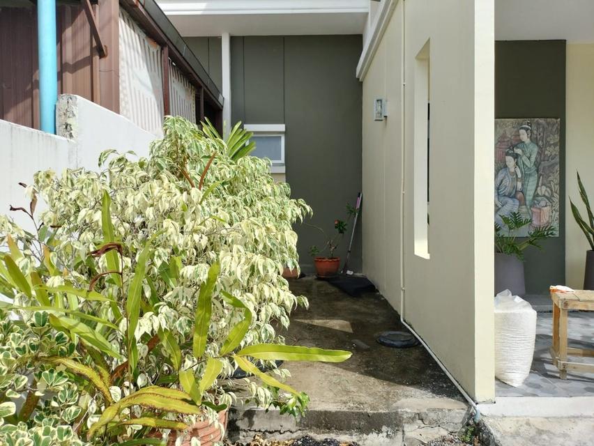 🏡ขายบ้านแฝด พฤกษา เทพารักษ์-เมืองใหม่โครงการ 1 สมุทรปราการ 17