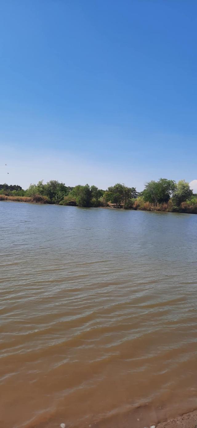 ที่ดินติดแม่น้ำบางปะกง บางกะเจ็ด/คลองเขื่อน 50 ไร่ 8