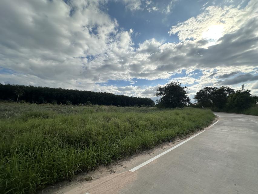 ที่ดินใกล้นิคมอีสเทิร์นซีบอร์ด ชลบุรี-บ่อวิน 8