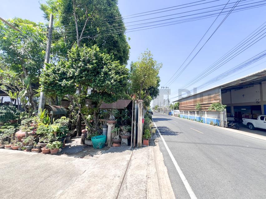 โกดังสินค้า โรงงานแปรรูปไม้ ซอยลำโพ 49 บางบัวทอง นนทบุรี รูปที่ 14