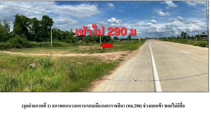 ขายที่ดินบ้านสะเดาเอนตำบลโตนดอำเภอโนนสูงจังหวัดนครราชสีมา ขนาด 10 ไร่ 1 งาน45ตร.วติดถนนสาธารณะ  3