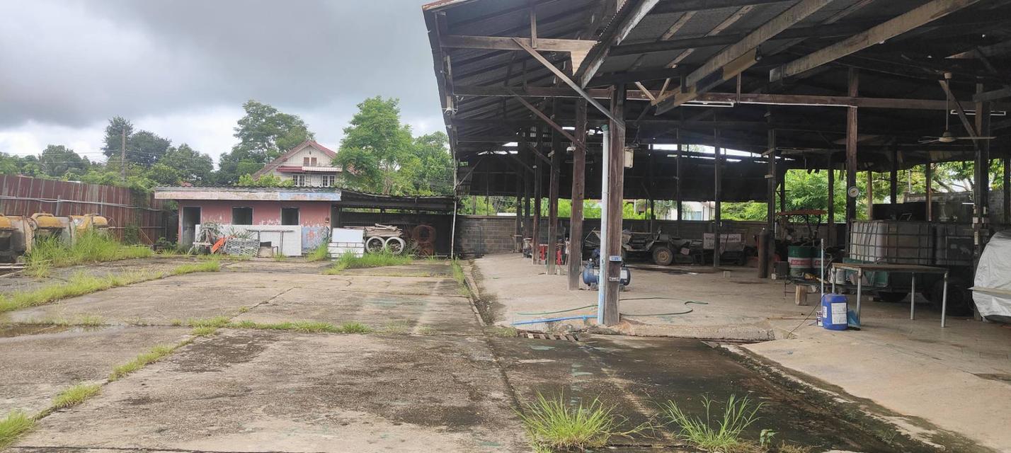 ขายที่โกดังติดถนนหลังเส้นโรงพยาบาลสมเด็จพยุพระราชเลิงนกทา หน้ากว้างติดถนน 32ม.ลึก43 ม.เนื้อที่ทั้งหมด3.617 งาน ห่างโรงพยาบาล 300 เมตร  เขต ทต.เลิงนกทา 13