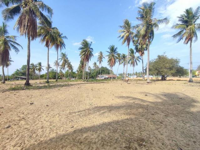 ขายที่ดิน 2 ไร่ กุยบุรี ติดถนนเลียบชายหาด กุยบุรี ห่างชายหาด 200เมตร เหมาะทำรีสอร์ท เวลเนส พูลวิลล่า 3