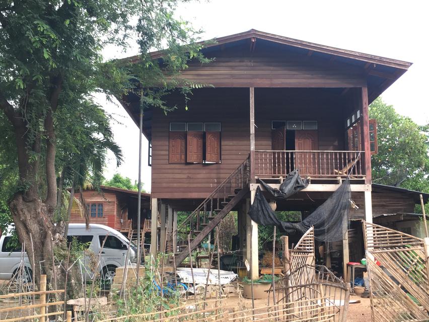 ขายบ้านไม้ พร้อมที่ดินราคาถูก