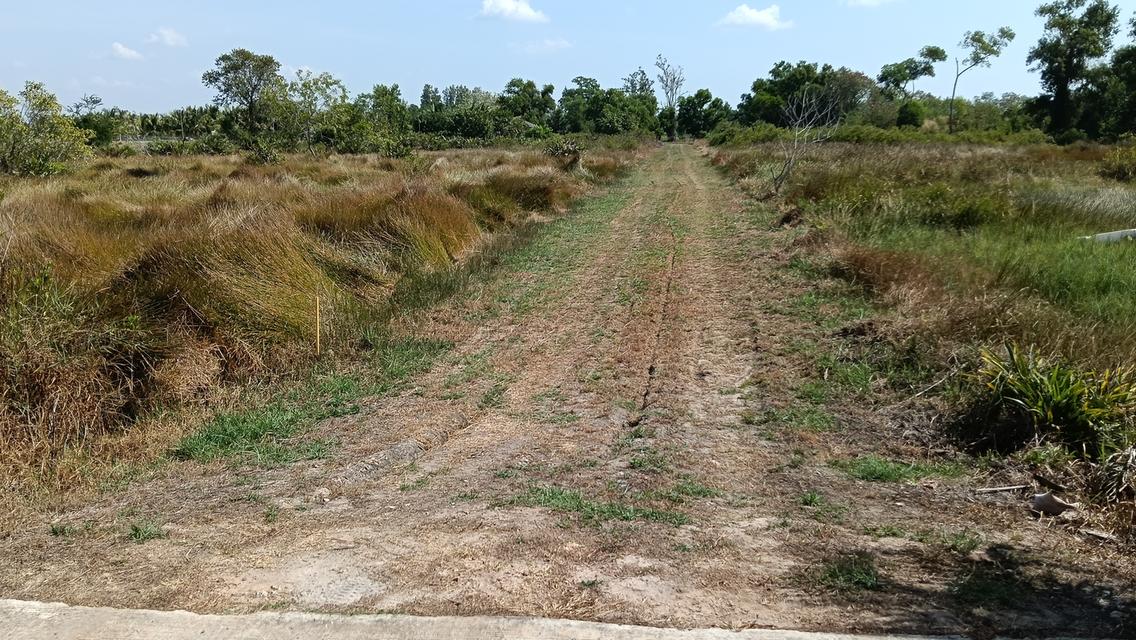 ที่ดิน อำเภอแกลง จังหวัดระยอง 2