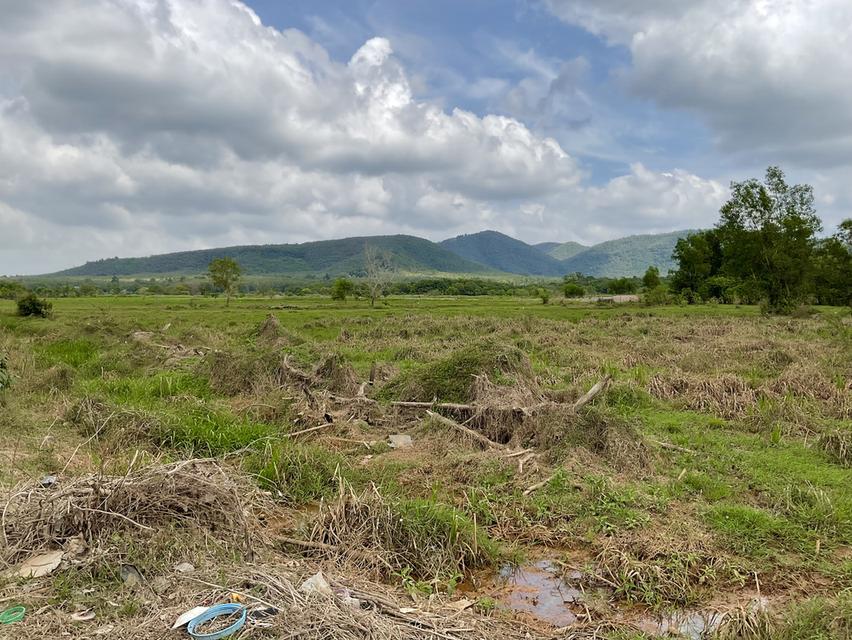 ขายที่ดิน 4 ห้อง คลองแห หาดใหญ่ 1