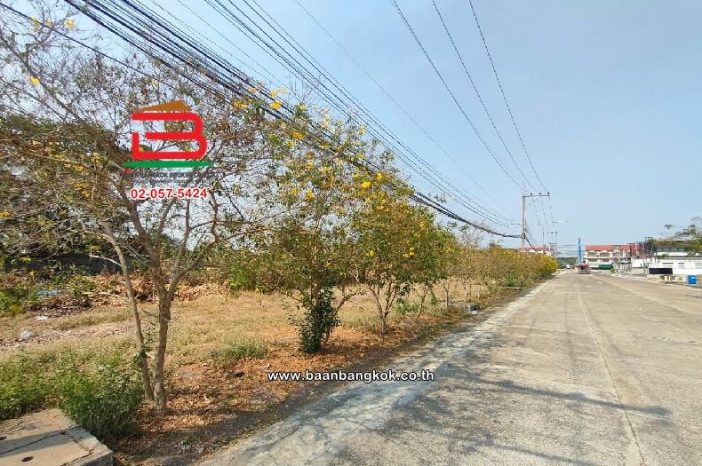 ที่ดินเปล่า หมู่บ้าน สราญธร คลอง 4 เนื้อที่ 560 ตร.ว ใกล้โลตัสคลอง 4 ตำบลบึงยี่โถ อำเภอธัญบุรี จังหวัดปทุมธานี 6