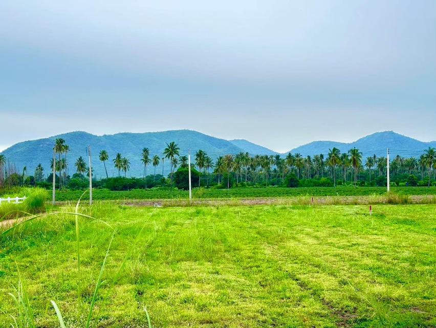 ที่ดินชะอำ เพชรบุรี ขนาด 120 ตรวา ผ่อนได้ 3 ปี  7