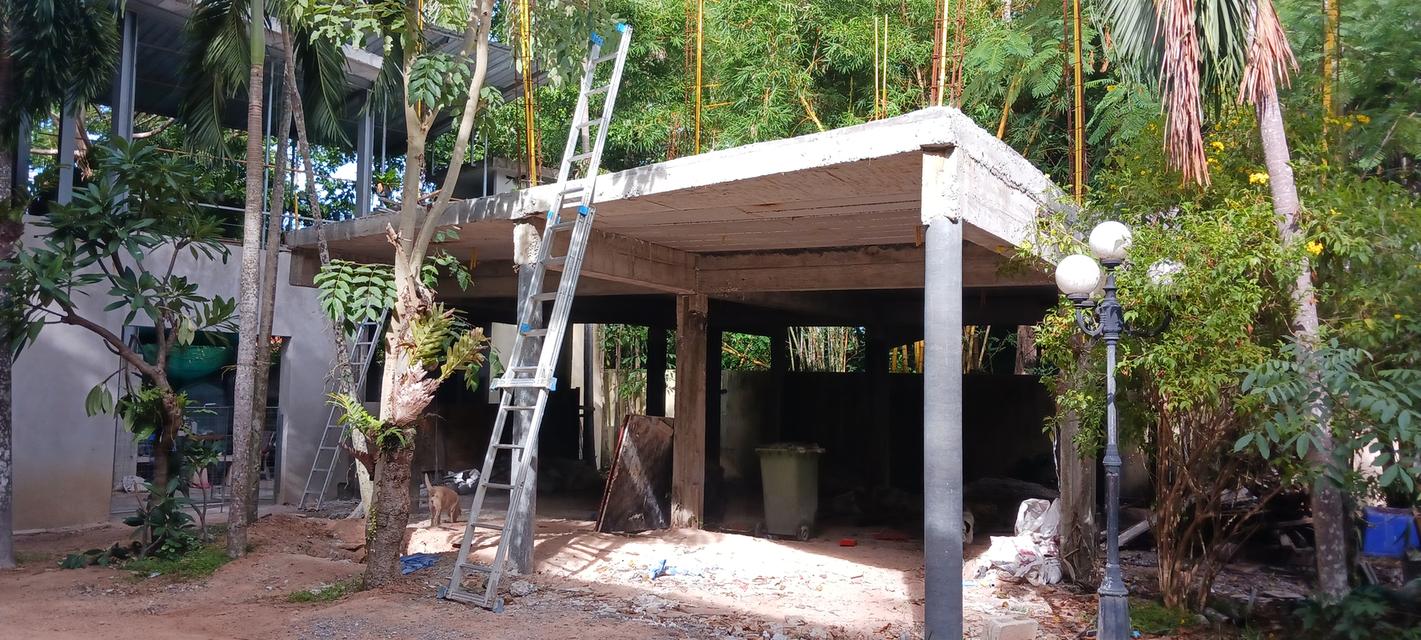 ขายบ้านพร้อมที่ดิน 18