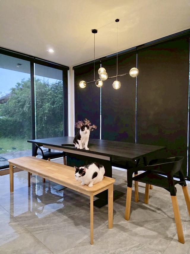 100 ตรว. บ้านเดี่ยวสันกำแพง ✨ Modern Luxury ขาย 12 ล้าน* 11