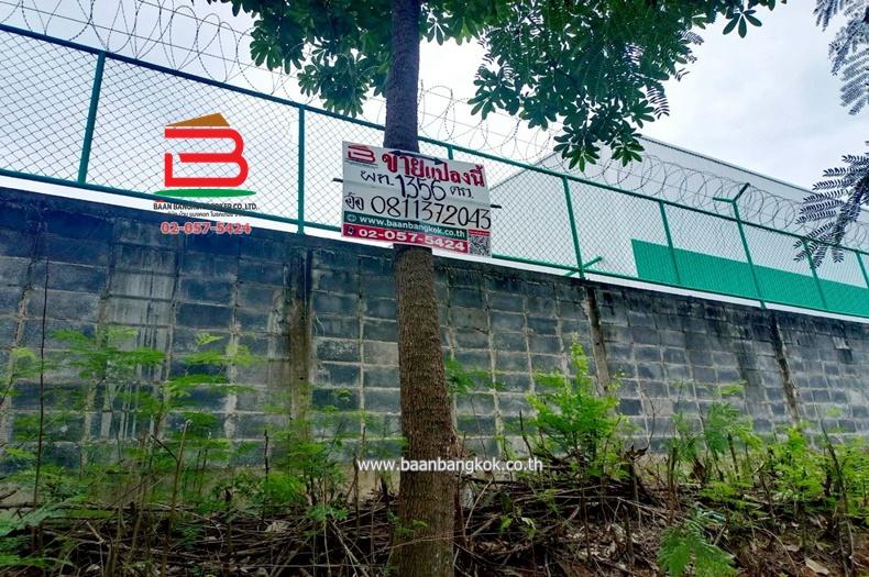 ที่ดินเปล่า คูบางหลวง-ลาดหลุมแก้ว เนื้อที่ 3-1-56 ไร่ ติดบจก.ชาญนครวิศวกรรม ตำบลคูบางหลวง อำเภอลาดหลุมแก้ว จังหวัดปทุมธานี 1