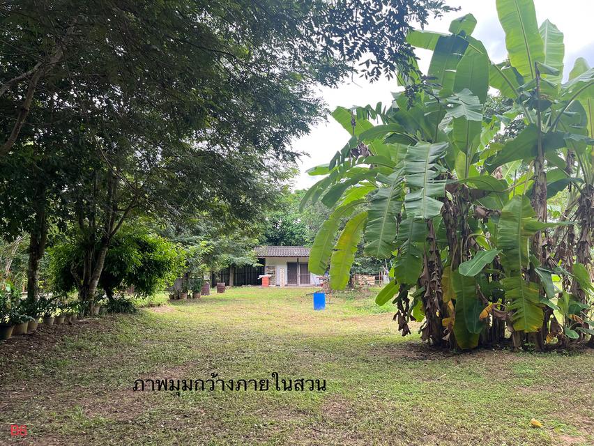 ขายที่ดินพร้อมบ้านและสวนผลไม้