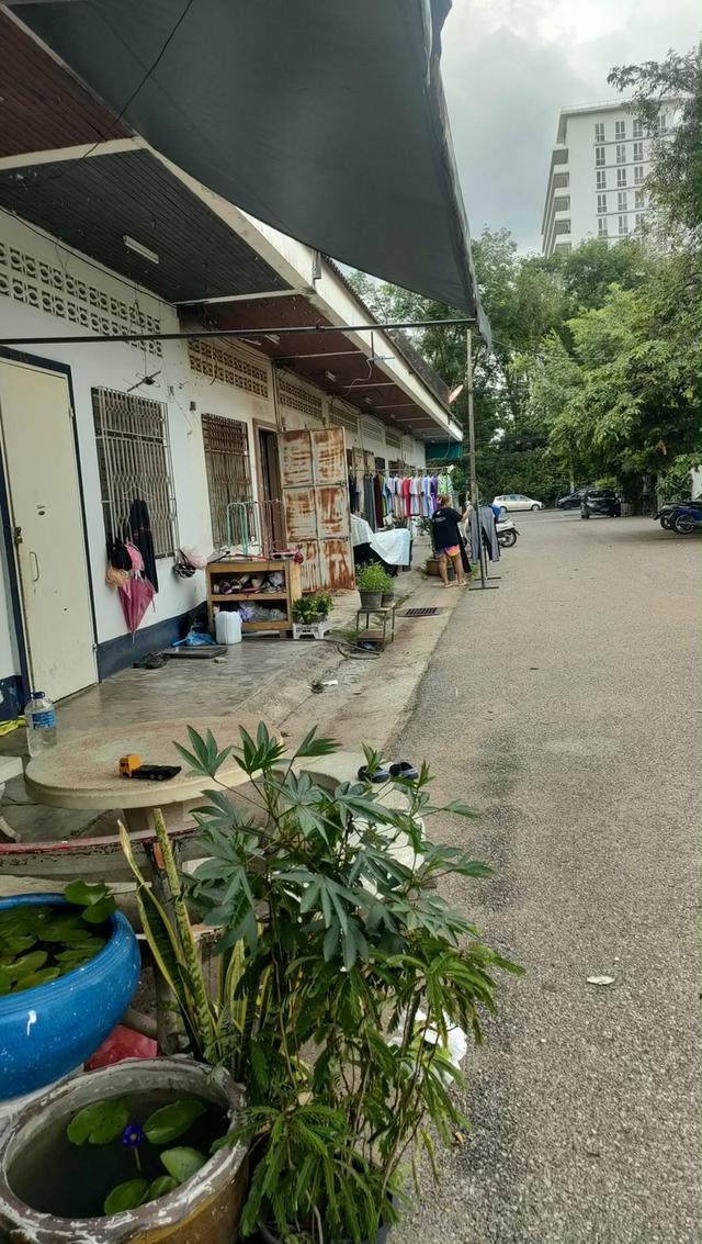 ขายที่ดินหาดใหญ่ใจกลางเมือง 3
