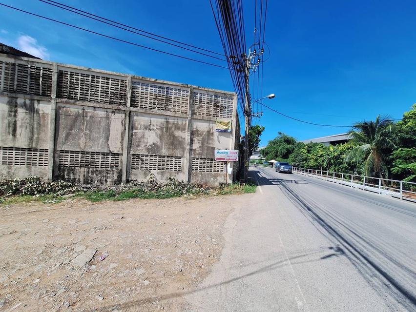 ขาย ที่ดิน บางบัวทอง ซอย วัดลาดปลาดุก 107 ตร.ว. แปลงสวย ริมในสุด 6