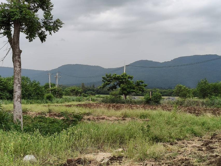 ขายที่วังไทร เขาใหญ่ ที่บนเนิน 3.5ไร่ ใกล้ My ozone Movenpick khaoyai ถนนกว้างไฟฟ้าผ่านหน้าที่ วิวเขาสวยมาก หลังพิงเขา แถมที่ครอบครอง 2ไร่ ปากช่อง 3