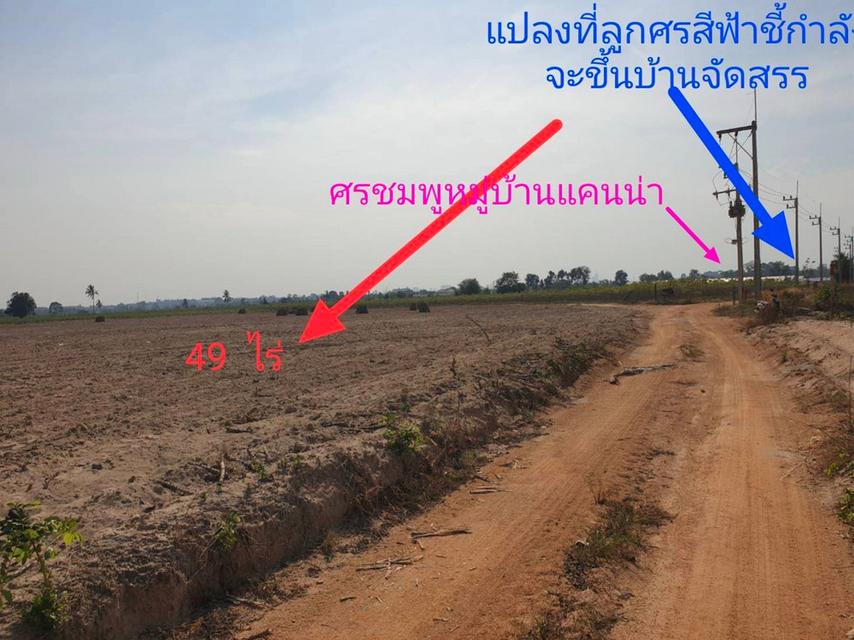 ขายที่ดินพัทยา แหลมฉบัง นาเกลือ เนื้อที่ 49 ไร่ (พื้นที่สีเหลือง) ตำบลตะเคียนเตี้ย บางละมุง ชลบุรี เพียง 10 นาที ถึงถนนสุขุมวิท 4