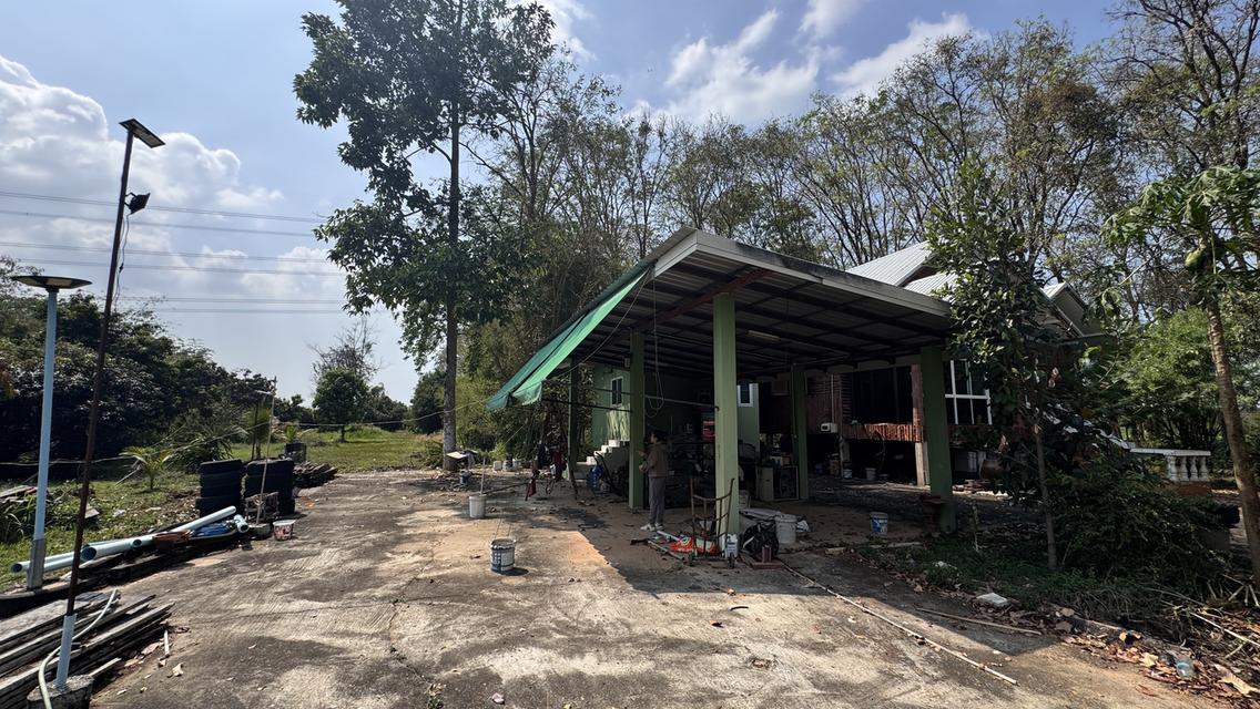 ขายที่สวน11 ไร่ พร้อมบ้าน2 หลัง มีรั้วล้อมรอบ ประตูรีโมท และรั้วล้อมสวน4ด้าน พร้อมต้นประดู่ ต้นกล้วย มะม่วง กระท้อน มะนาว มะกรูด 7